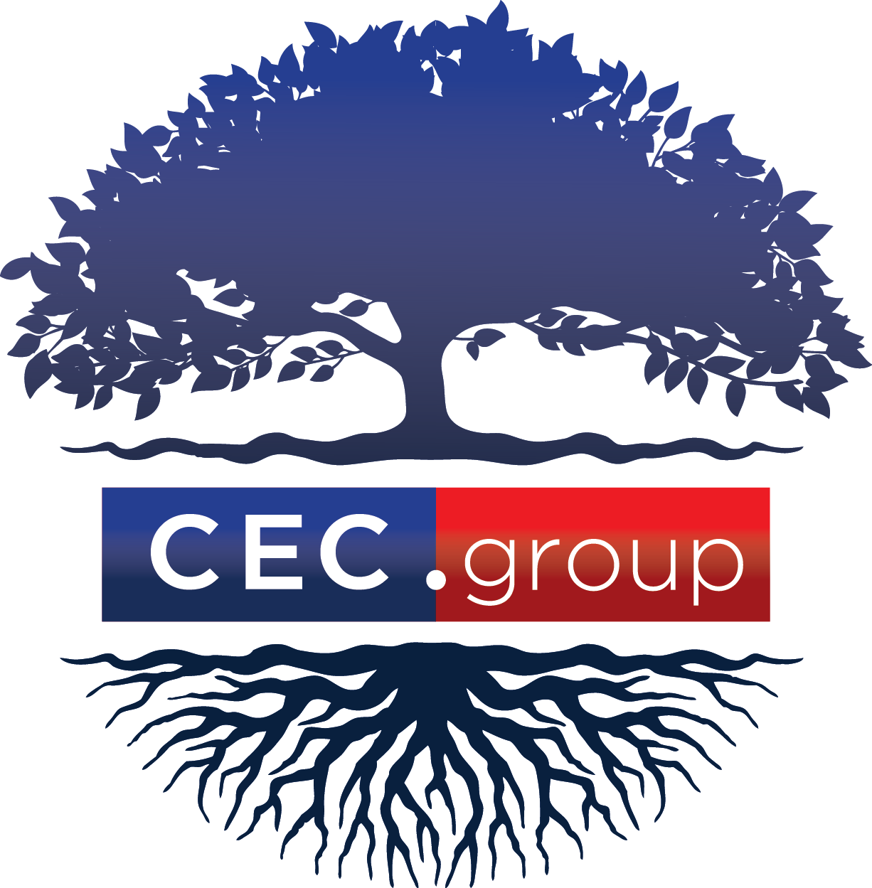 CEC.group albero def